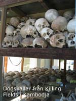 Dödskallar från Kililng Fields i Kambodja