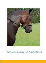 Framtidsspaning om hästsektorn, metodbeskrivning