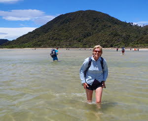 Margareta vandrar genom tidvattnet vid Awaroa Beach